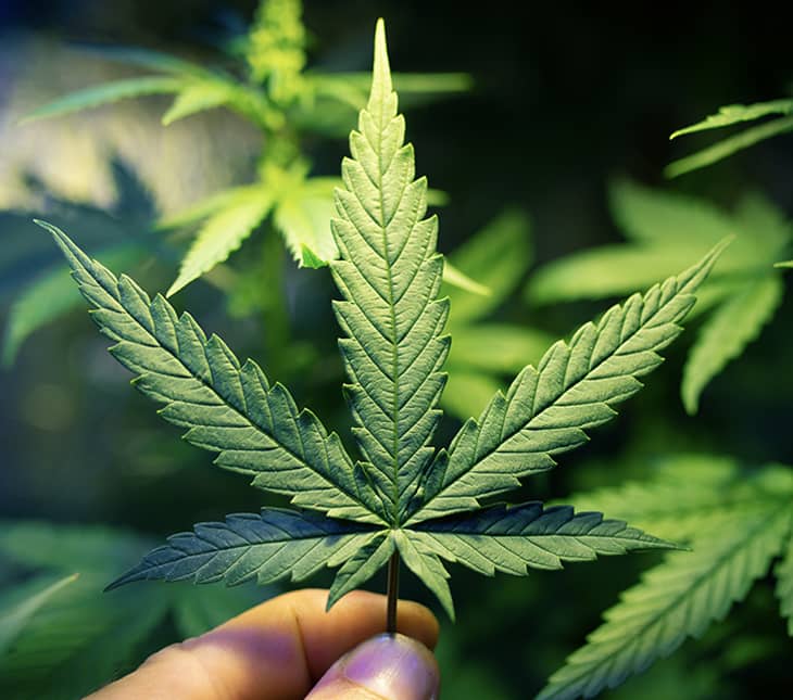 Marijuana and DUI in Pennsylvania